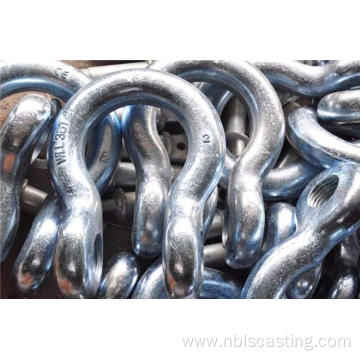 Stainless Steel Shackle/D Type Shackle